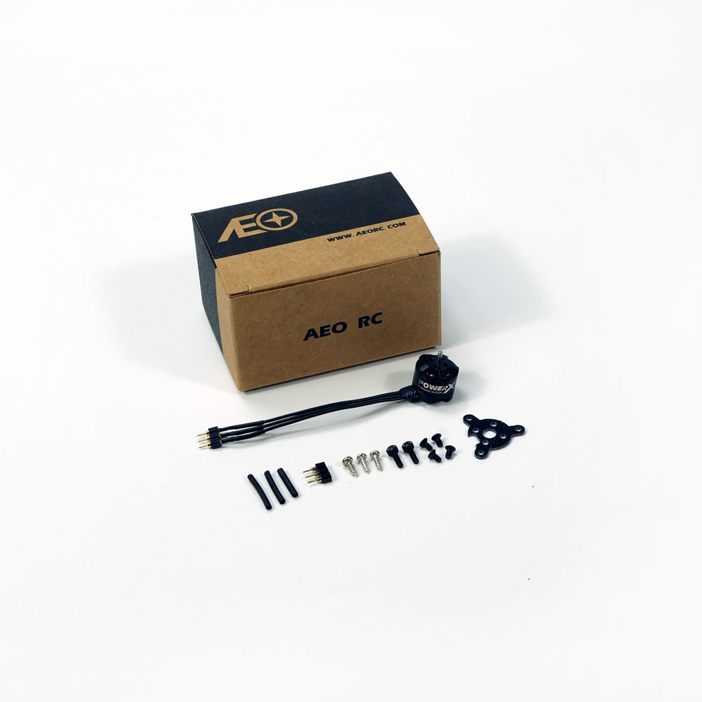 Mini Micro MC1106 3800KV Brush - Rc Plane Hobby Zone review and price